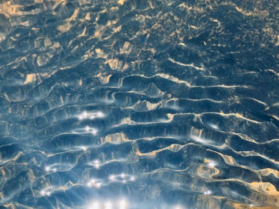 Beautiful light on rippling water