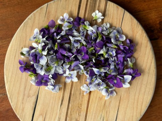 purple and white flowers are displayed on a circular wooden board
